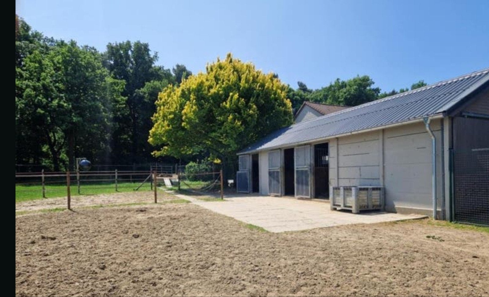 Tijdelijk speels, lief ruintje als weide/stalmaatje gezocht., Dieren en Toebehoren