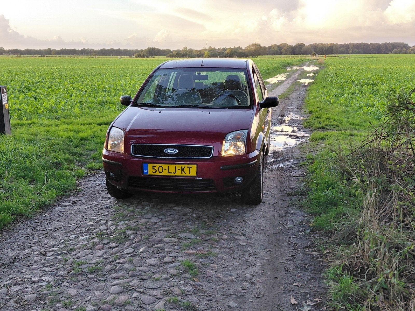 Ford Fusion 1.6 16V 2003 Rood, Auto's, Voorwielaandrijving, 1596 cc, 15 km/l, 100 pk
