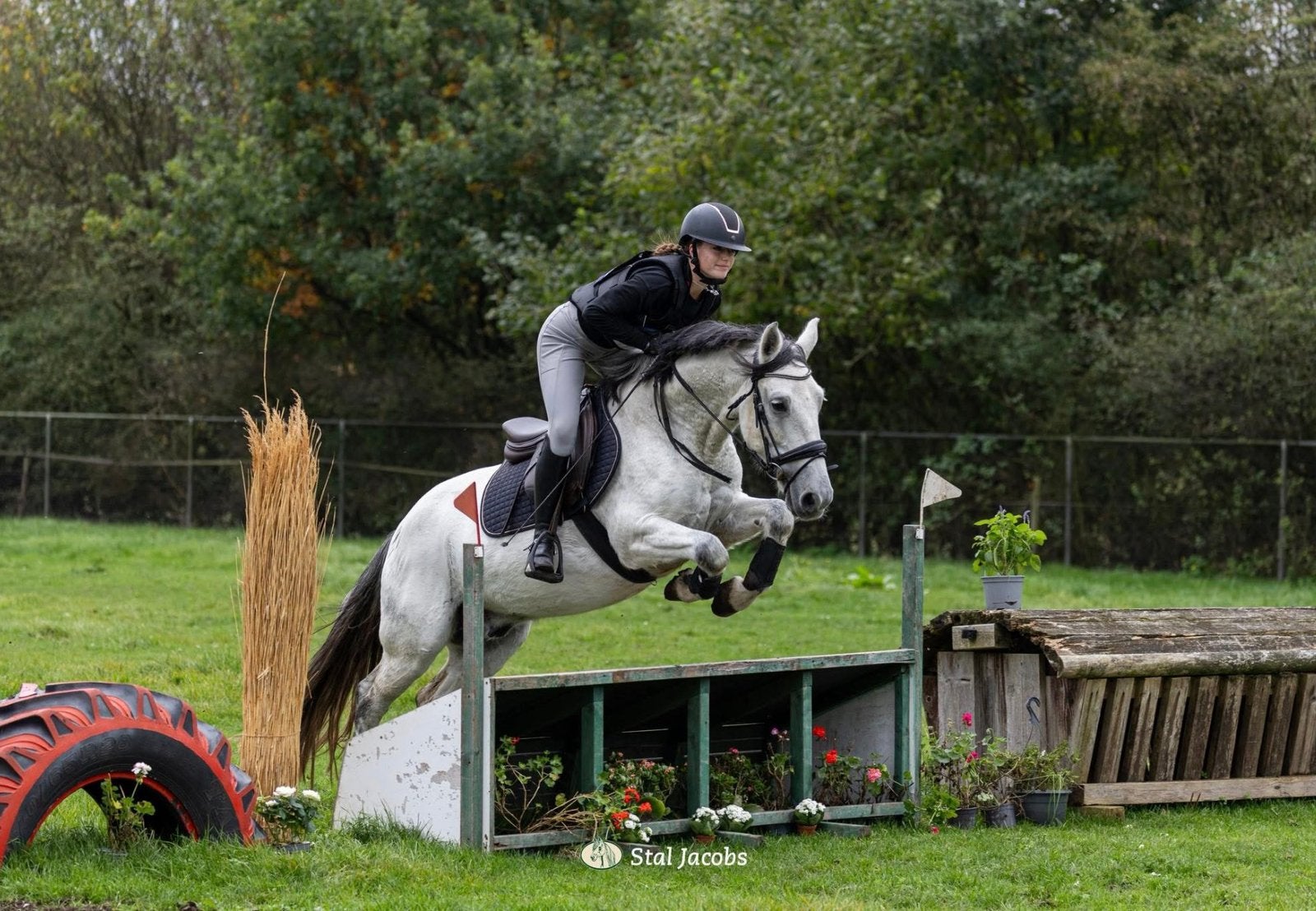 Stoere allrounder, Dieren en Toebehoren, Gechipt, Ruin, L, 7 tot 10 jaar
