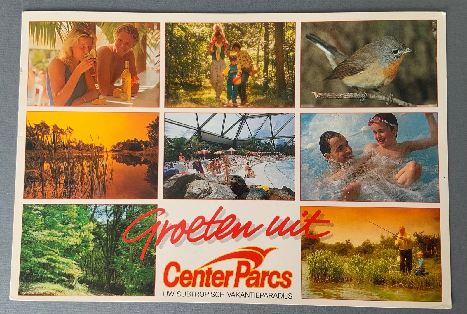Ansichtkaart Center Parcs Het Heijderbos, Verzamelen, Verzenden, 1980 tot heden, Gelopen, Limburg