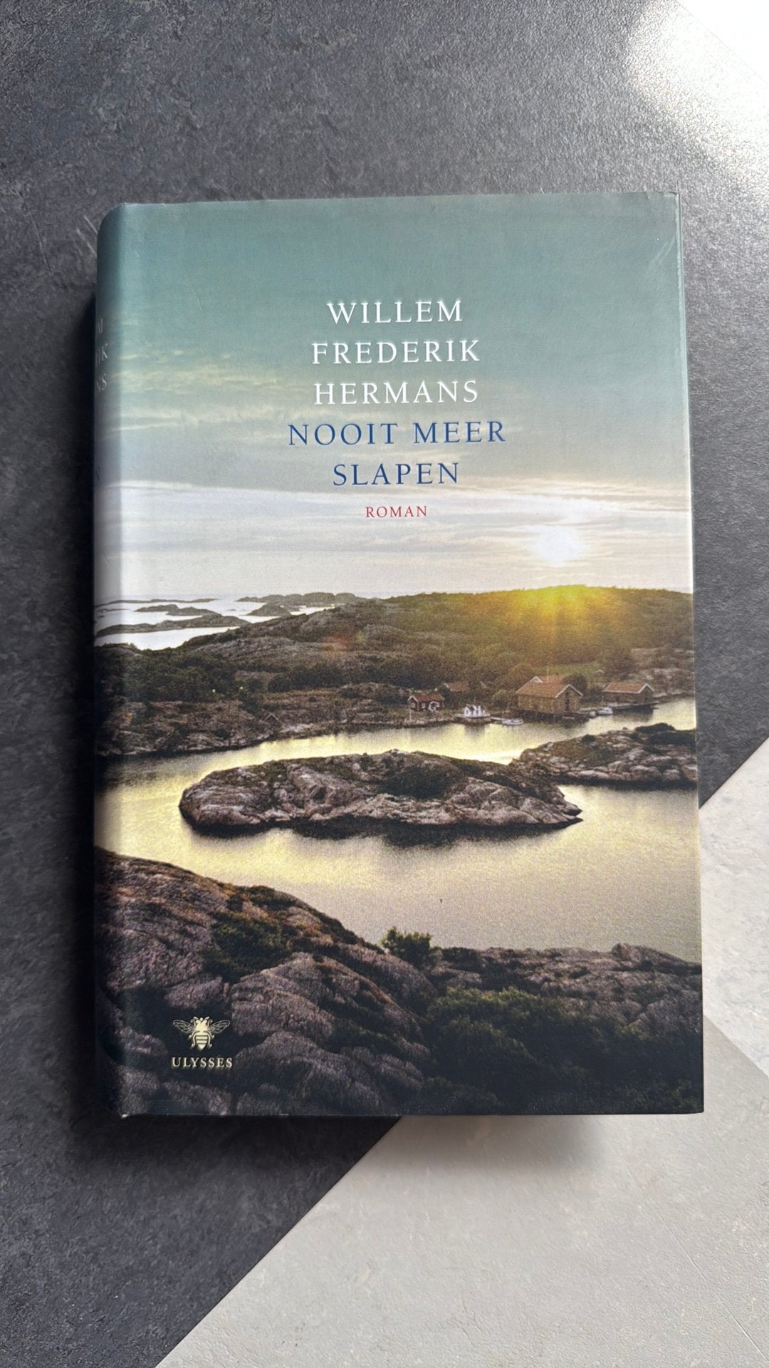 Willem Frederik Hermans - Nooit meer slapen, Boeken, Ophalen of Verzenden, Zo goed als nieuw, Willem Frederik Hermans