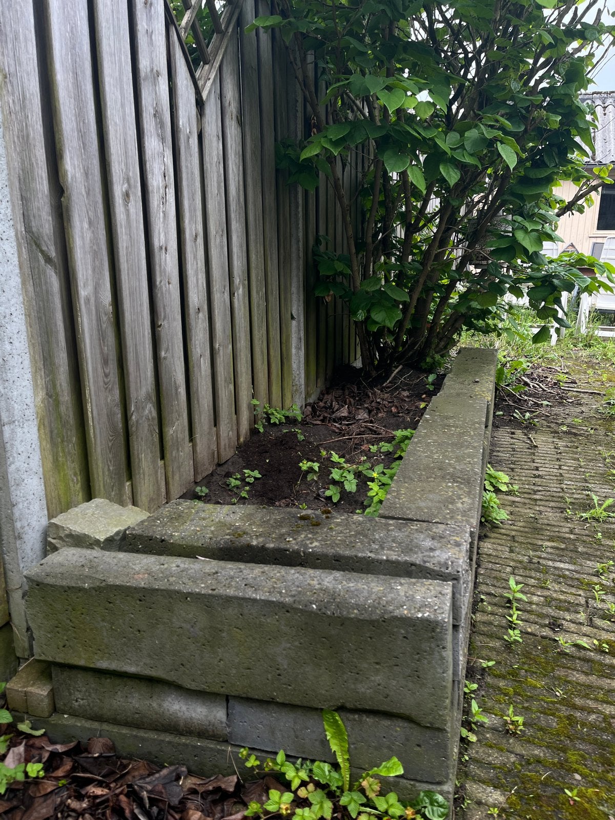 GRATIS antraciet betonnen stapelblokken, Tuin en Terras, Ophalen, Gebruikt, Blok, Beton