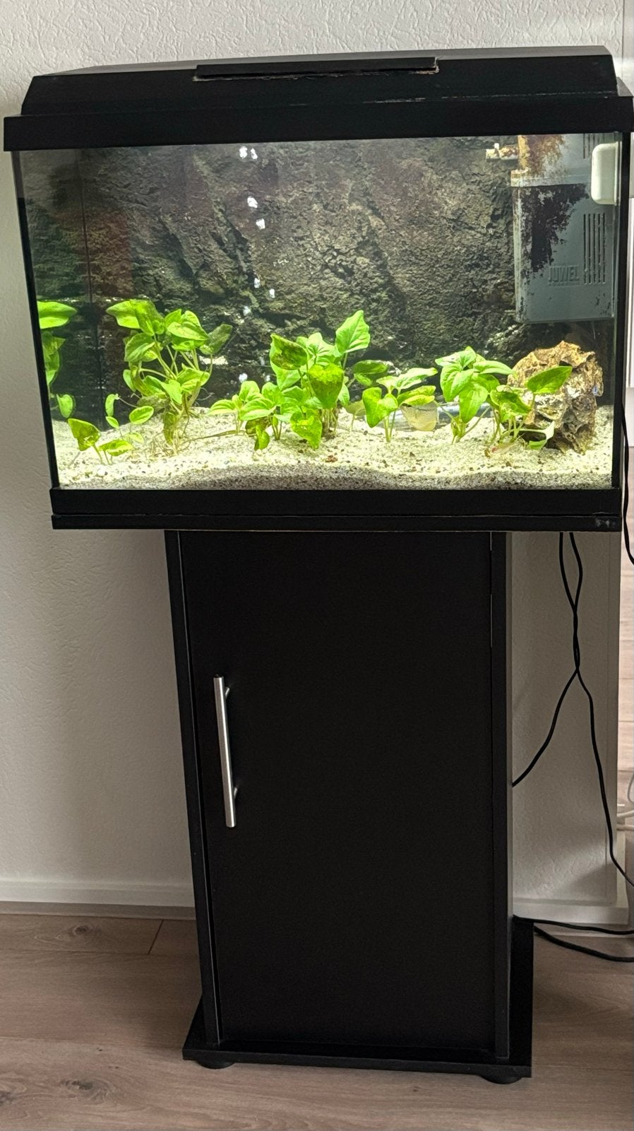 Aquarium 60cm met kast, Dieren en Toebehoren, Ophalen, Gebruikt, Gevuld zoetwateraquarium, Juwel