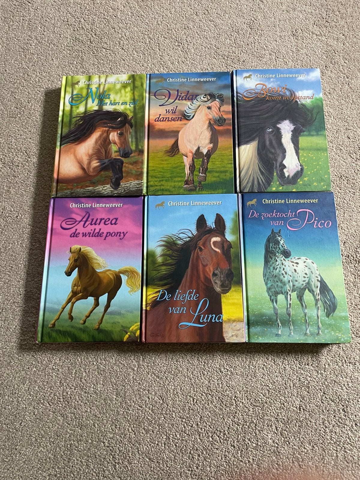 6 Christine Linneweever paardenboeken Zo goed als nieuw, Ophalen of Verzenden, Zo goed als nieuw, Fictie