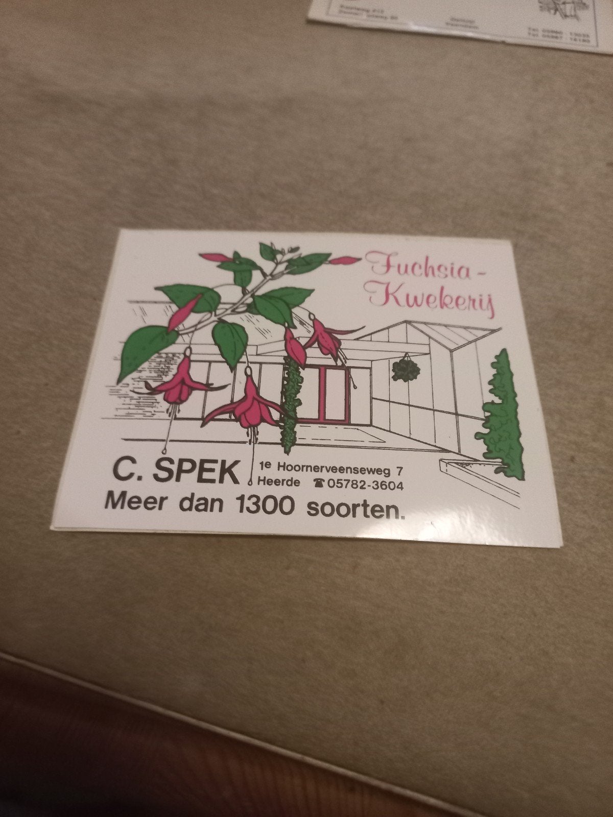 Vintage Fuchsia Kwekerij C. Spek Reclamesticker, Ophalen of Verzenden, Gebruikt