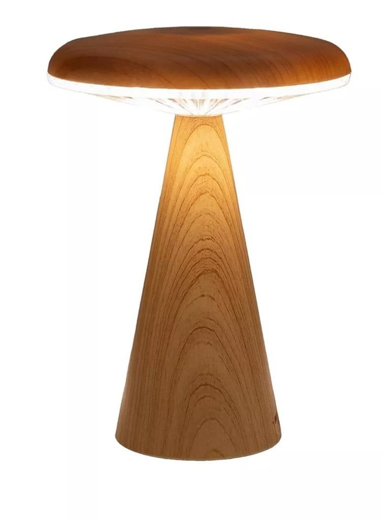PADDENSTOEL MET LED LAMPJE, Overige materialen, Nieuw, Ophalen of Verzenden, Modern