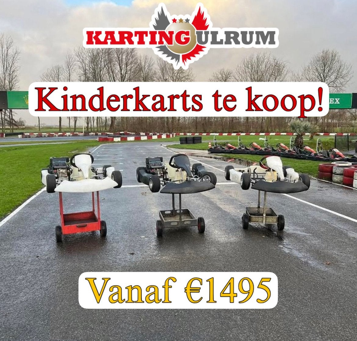 TE KOOP! Compleet gereviseerde Parolin rocky’s, Sport en Fitness, Ophalen, Zo goed als nieuw, Kart