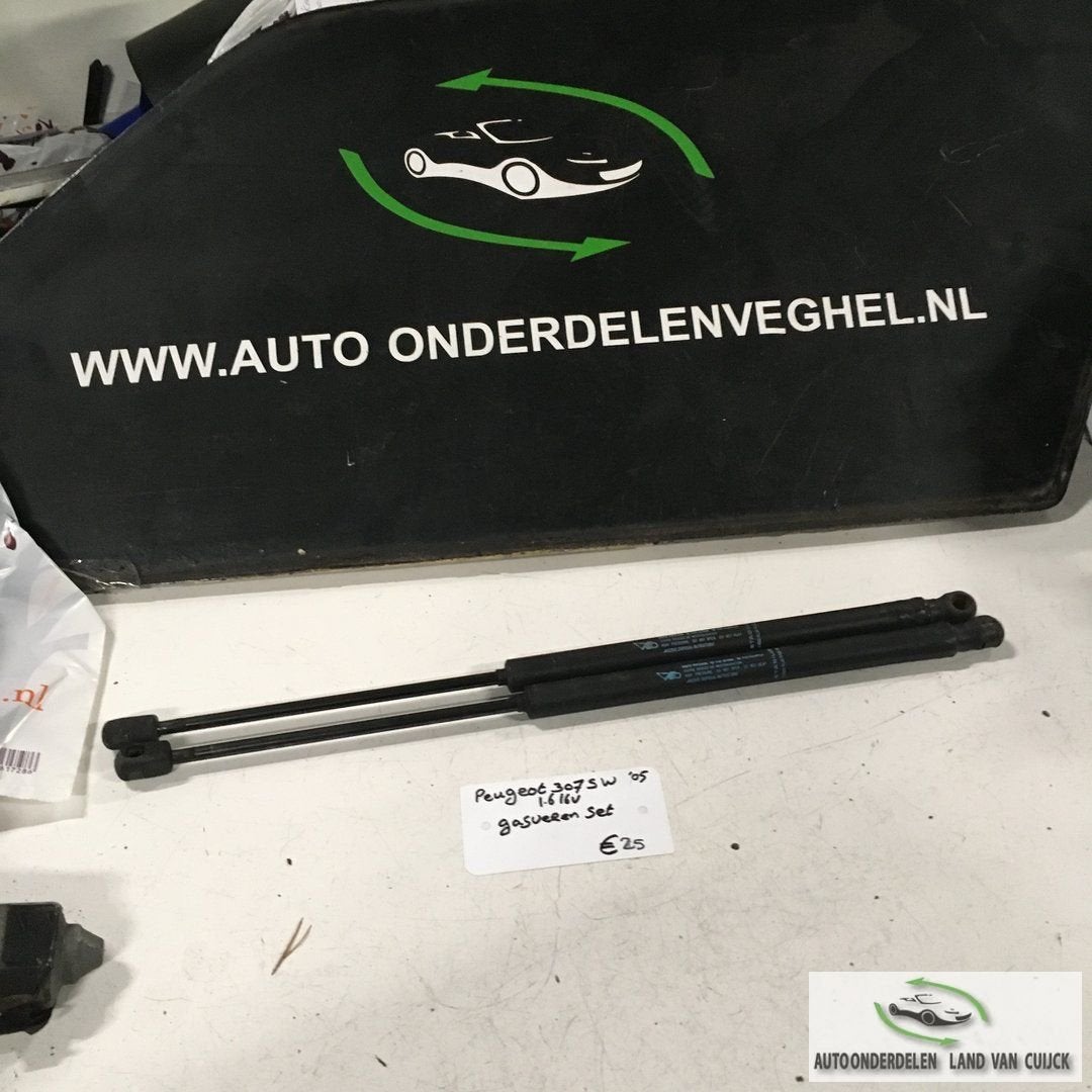 Peugeot 307 sw 2005 1.6 16v Gasveren set achter, Auto-onderdelen, Gebruikt, -, -, Ophalen of Verzenden
