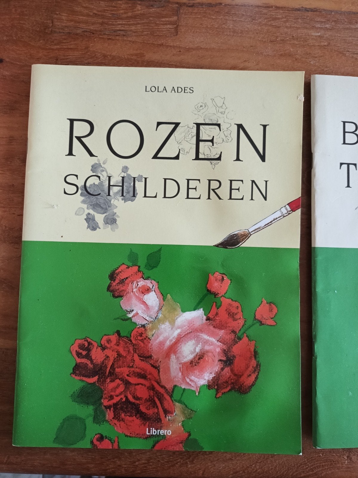 Twee boeken rozen schilderen en bloement tekenen, Boeken, Ophalen of Verzenden, Zo goed als nieuw, Bloemen, Planten en Bomen