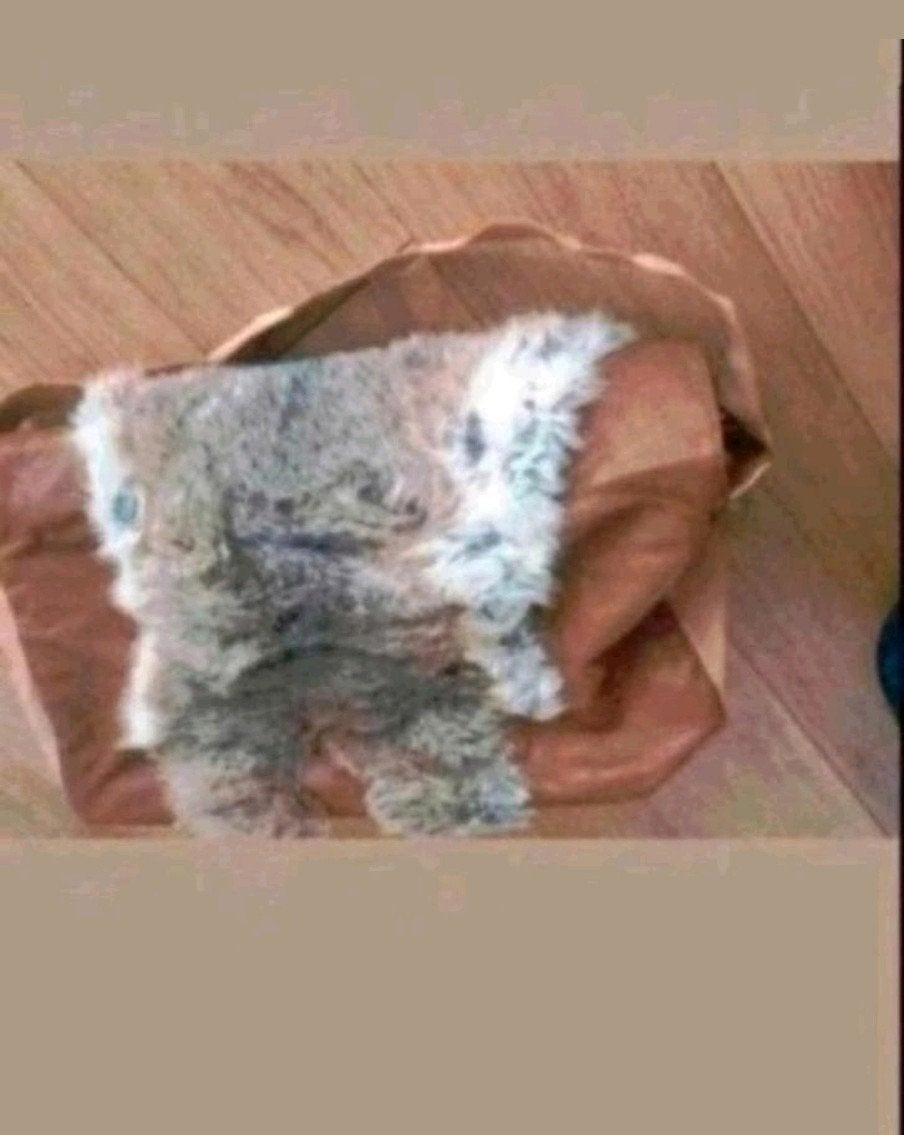 Echte leren tas met bont, Ophalen of Verzenden, Zo goed als nieuw, Bruin, Schoudertasje