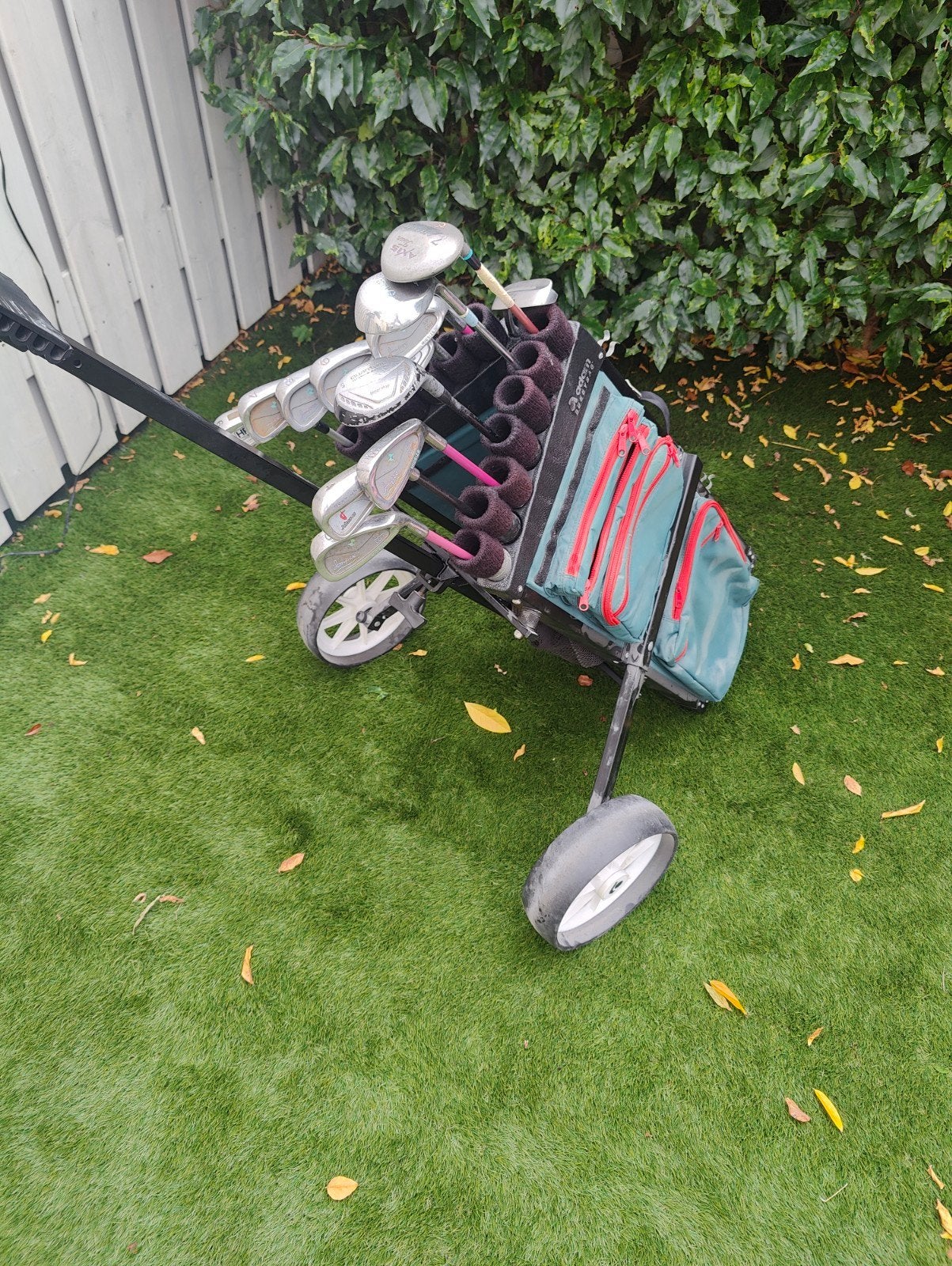 golfset voor dames + tas + kar, Ophalen of Verzenden, Gebruikt, Set, Overige merken