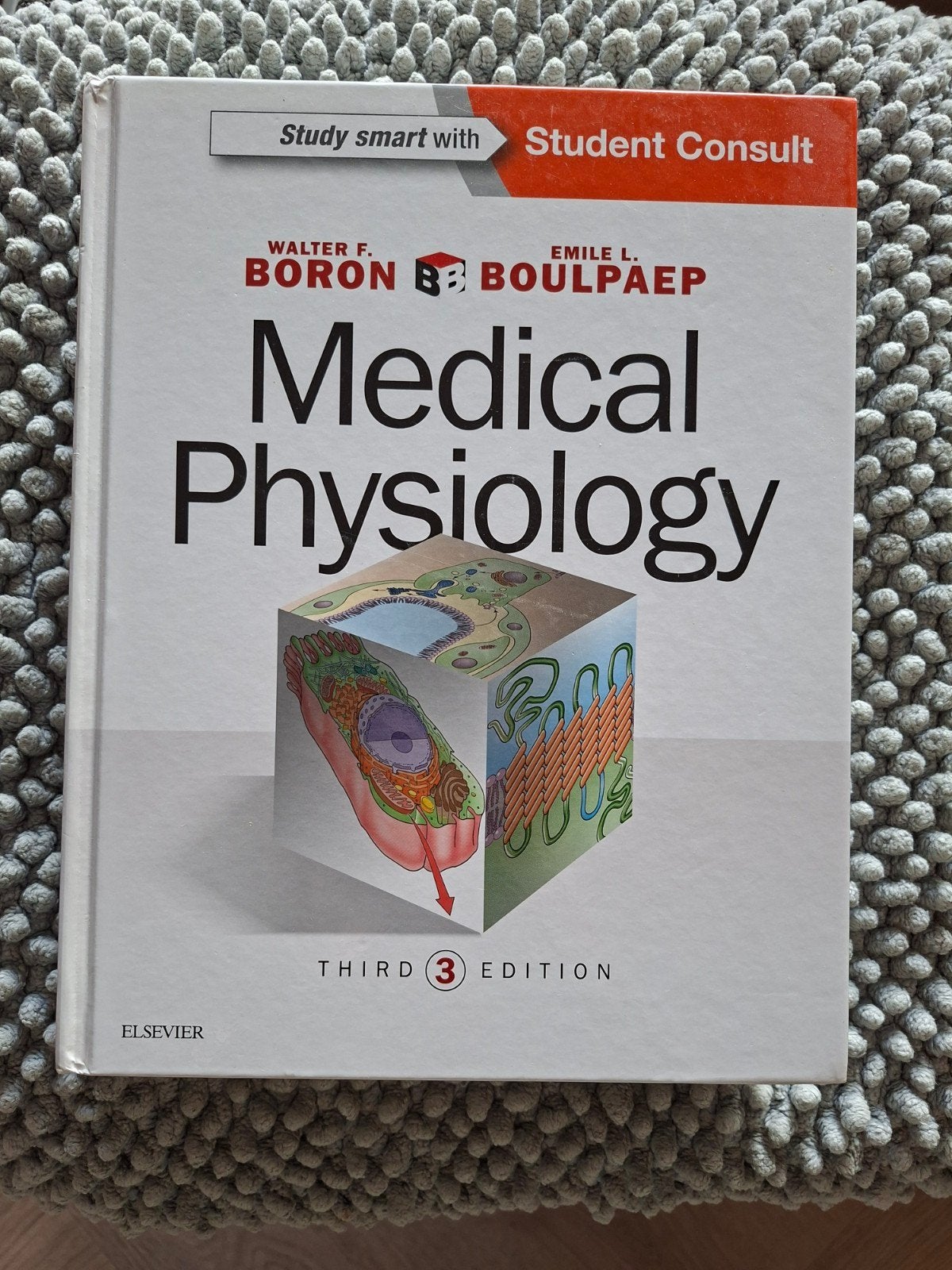 Medical Physiology, Ophalen of Verzenden, Beta, Elsevier, WO