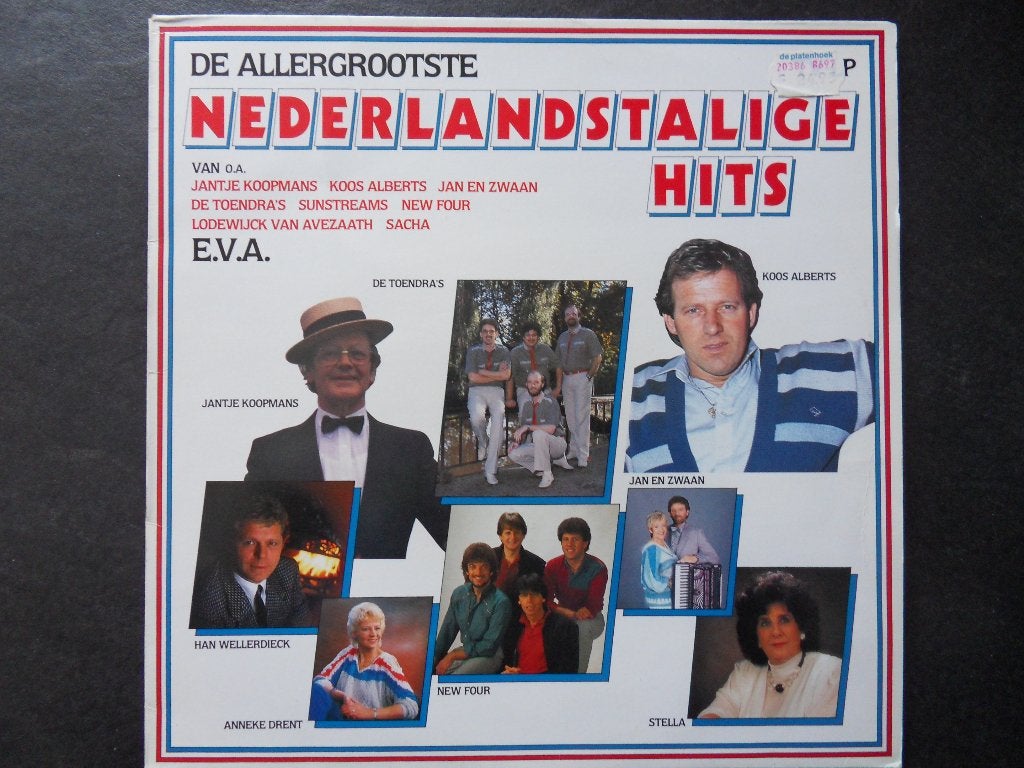 De allergrootste Nederlandstalige Hits - Various (LP), Cd's en Dvd's, Ophalen of Verzenden, Gebruikt, 12 inch, Levenslied of Smartlap