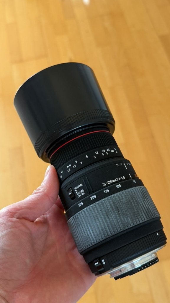 Sigma 70-300mm APO DG Macro voor Nikon, Ophalen, Sigma, Macrofunctie, Telelens