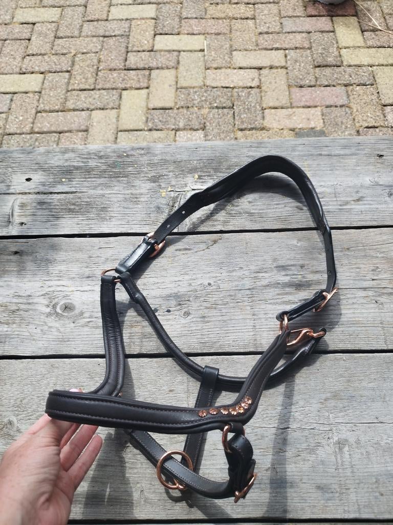 Leren halster, Dieren en Toebehoren, Ophalen of Verzenden, Nieuw, Overige soorten