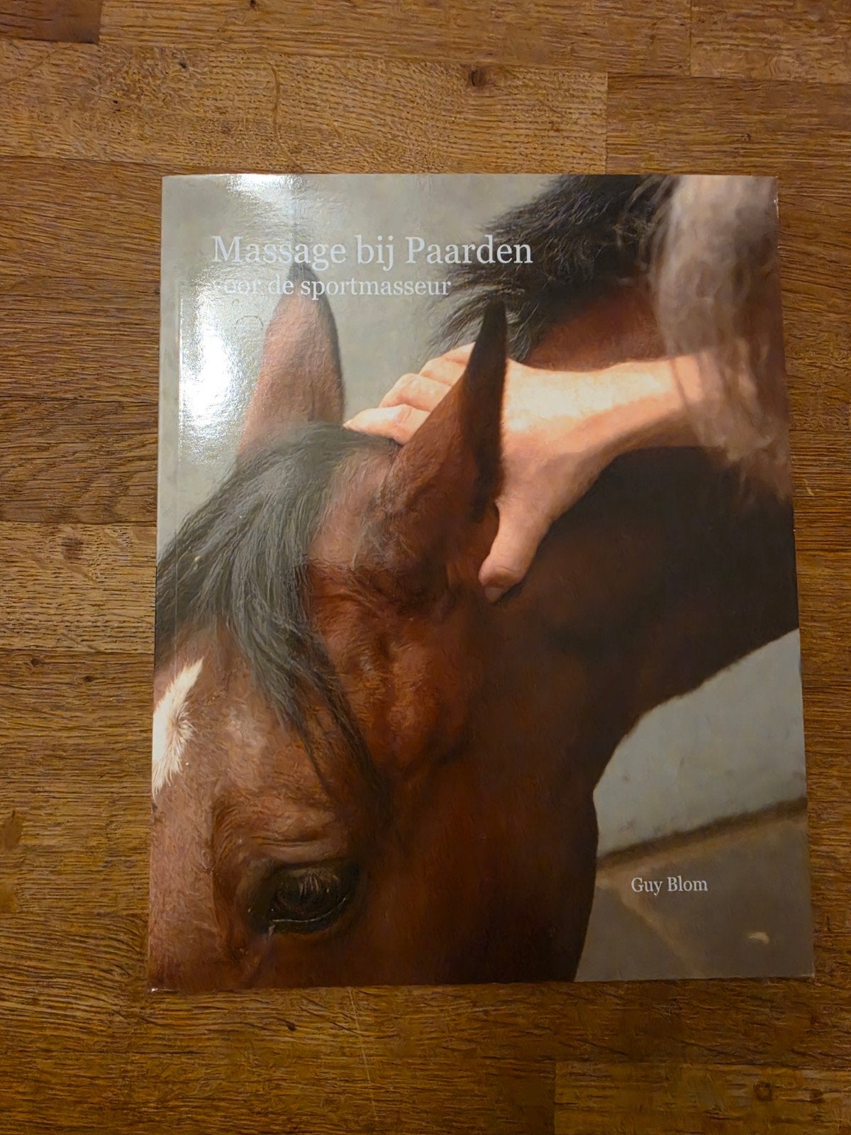 Massage bij Paarden door de sportmasseur - Guy Blom, Boeken, Ophalen of Verzenden, Zo goed als nieuw, Paarden of Pony's, Guy Blom