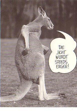 Ansichtkaart	Kangoeroe, Verzenden, 1960 tot 1980, Ongelopen, Overige soorten