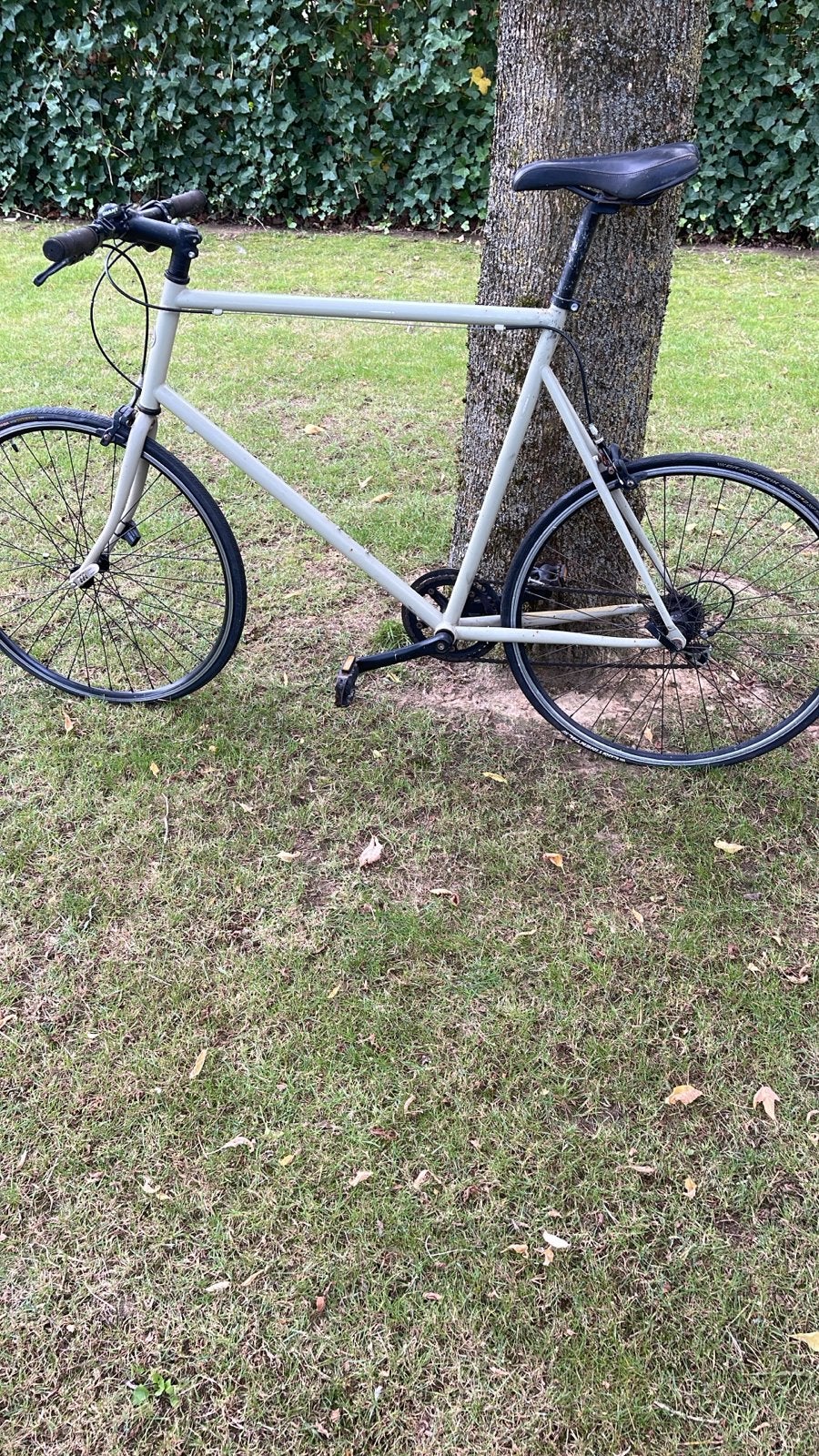 Tokyo Bike Sportfiets - Groen - Goede staat, Gebruikt, Velgrem, Ophalen, Overige merken