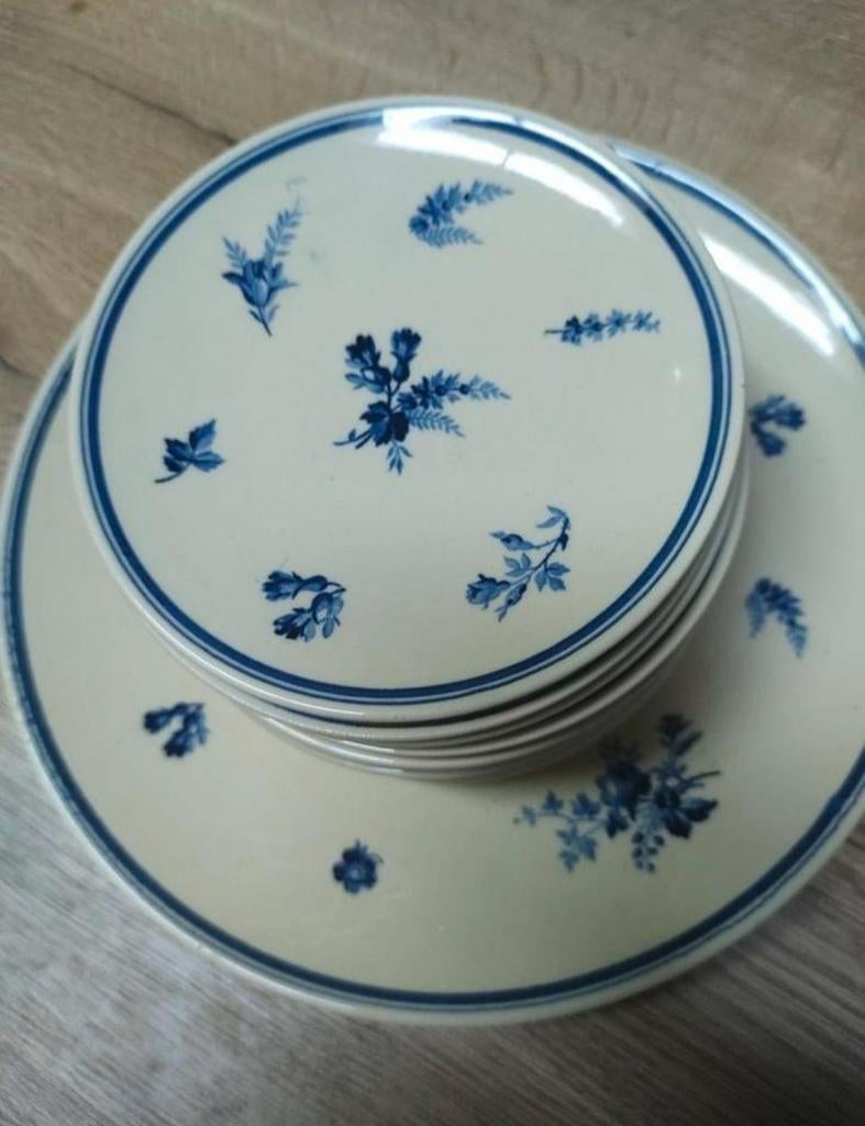 Gebakset Riva Petrus Regout, Ophalen of Verzenden