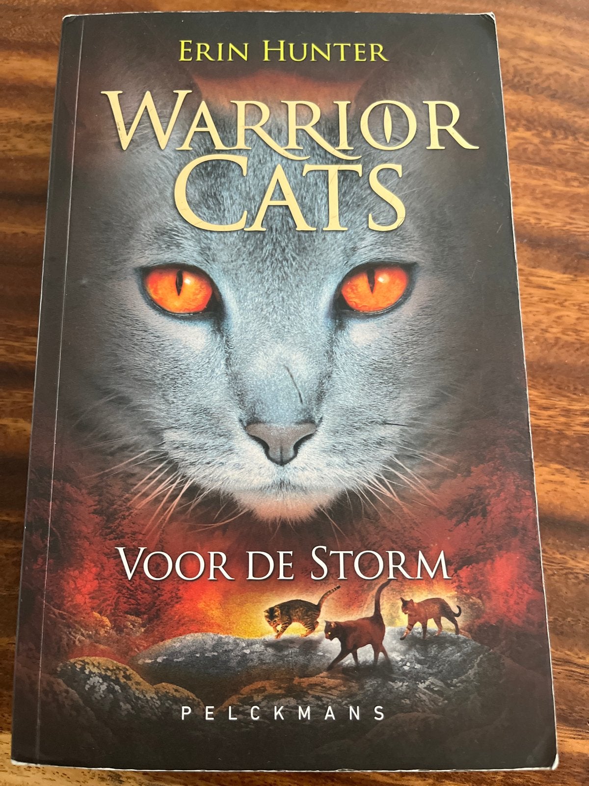 Warrior Cats: Voor de Storm - Boek 4, Ophalen of Verzenden, Zo goed als nieuw, Fictie