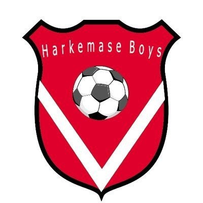 GEZOCHT : Harkemase Boys artikelen, Ophalen of Verzenden, Zo goed als nieuw, Shirt