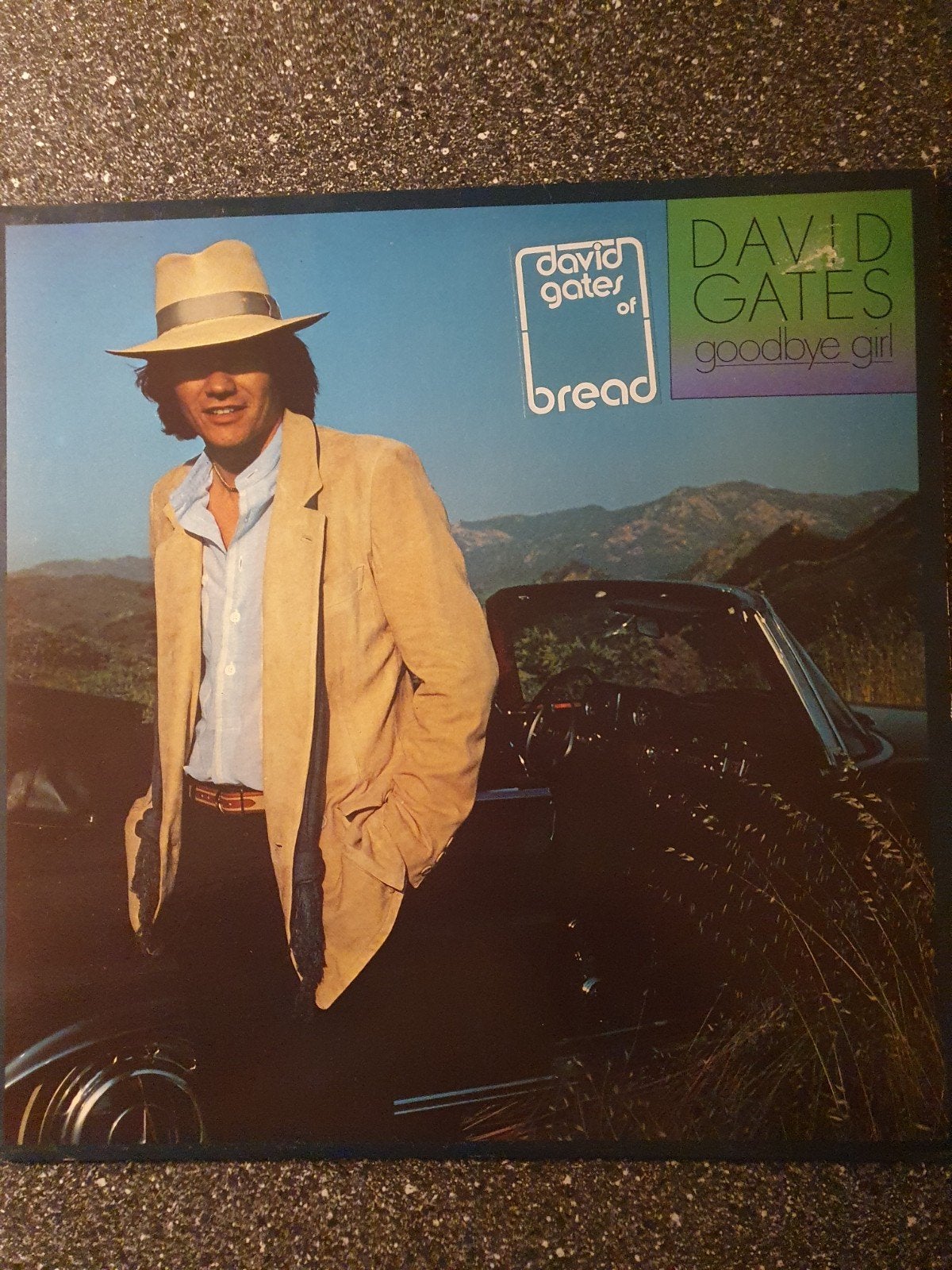 David Gates - Goodbye Girl LP (1978) Elektra Records, Ophalen of Verzenden, 1970 - 1979, Gebruikt, 12 inch