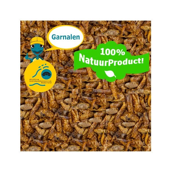 Gedroogde Garnalen voor Waterschildpadden (Natuurproduct), Winkel Schildpaddencentrum, Overige typen, Nieuw, Ophalen of Verzenden