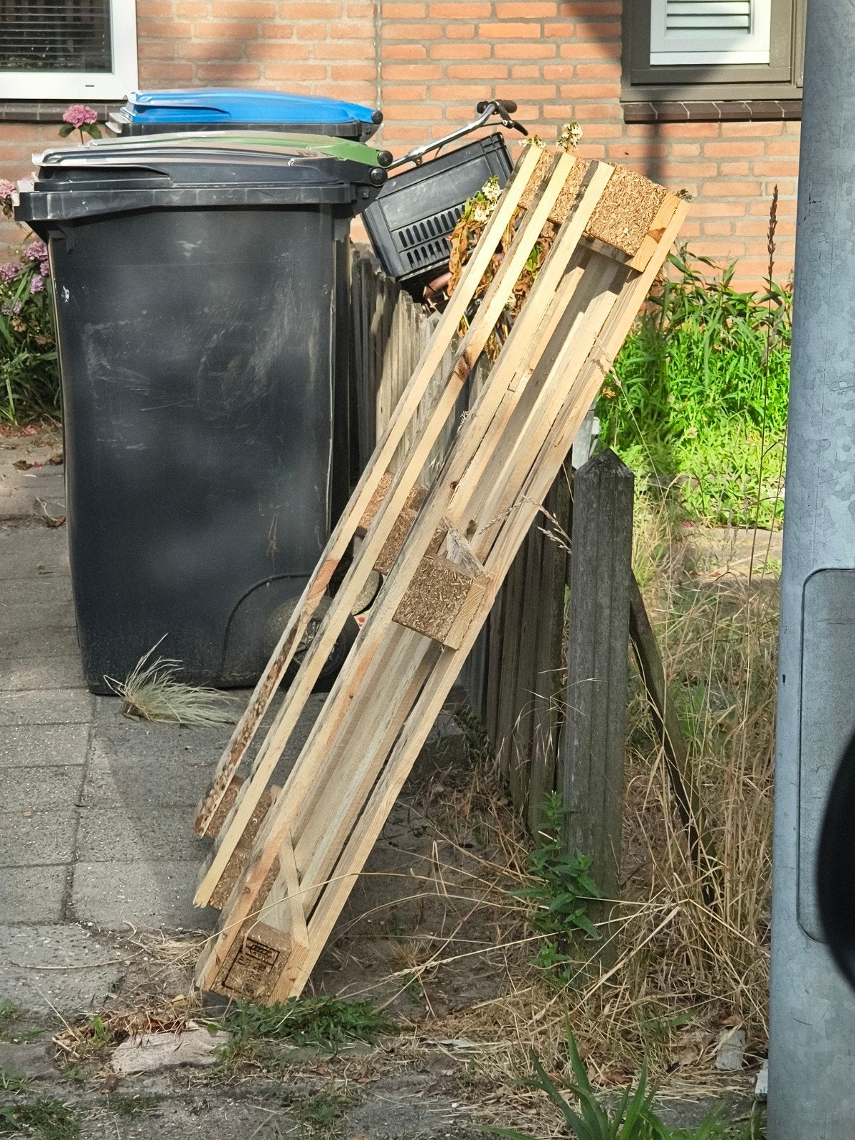 Gratis pallet, Gebruikt, 100 cm of meer, 60 cm of meer, Overige typen
