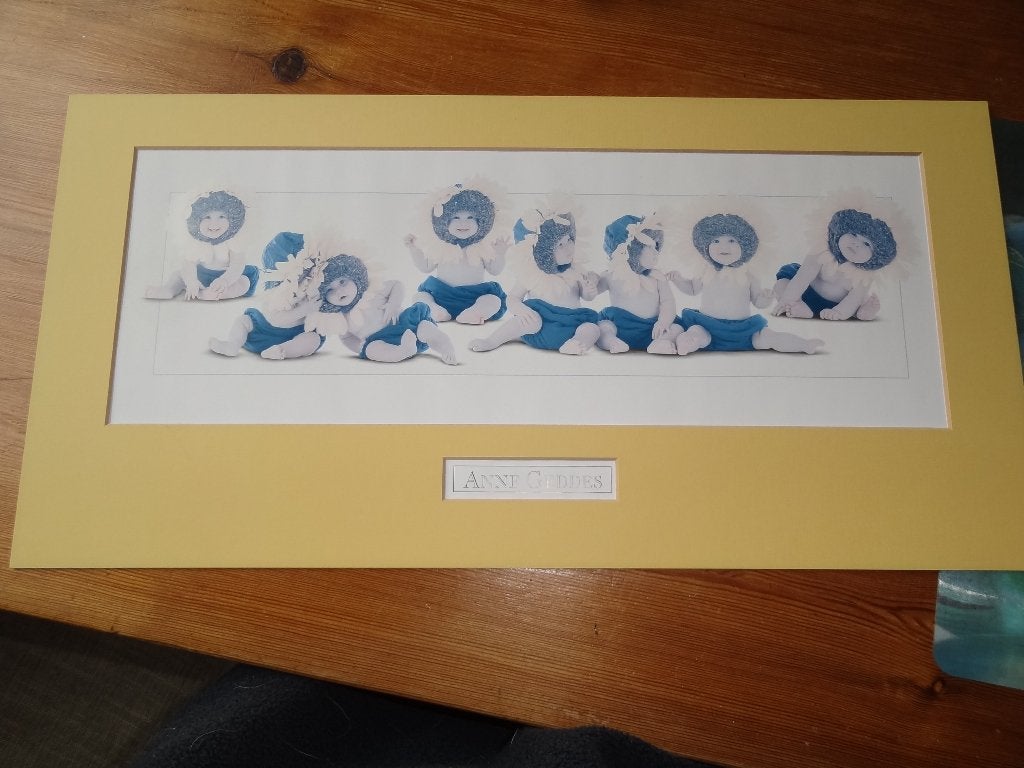poster van Anne Geddes met passe partout, Ophalen of Verzenden, Gebruikt, A1 t/m A3