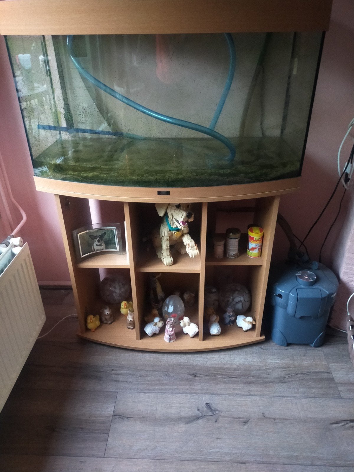 Aquarium te koop zonder deurtjes wel met pomp, Dieren en Toebehoren, Ophalen, Gebruikt, Leeg aquarium