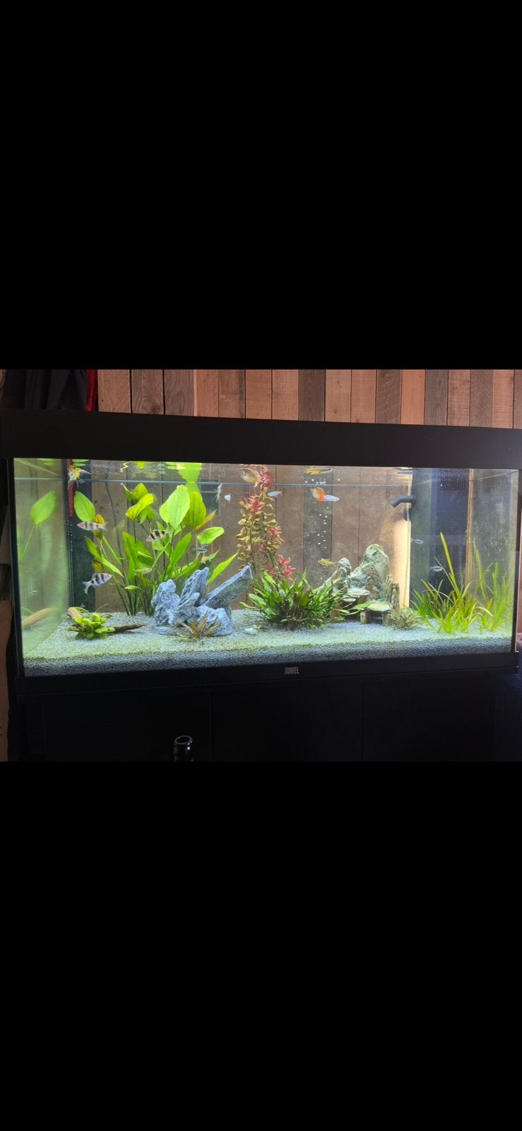 Aquarium 180 liter, Ophalen of Verzenden, Zo goed als nieuw, Leeg aquarium