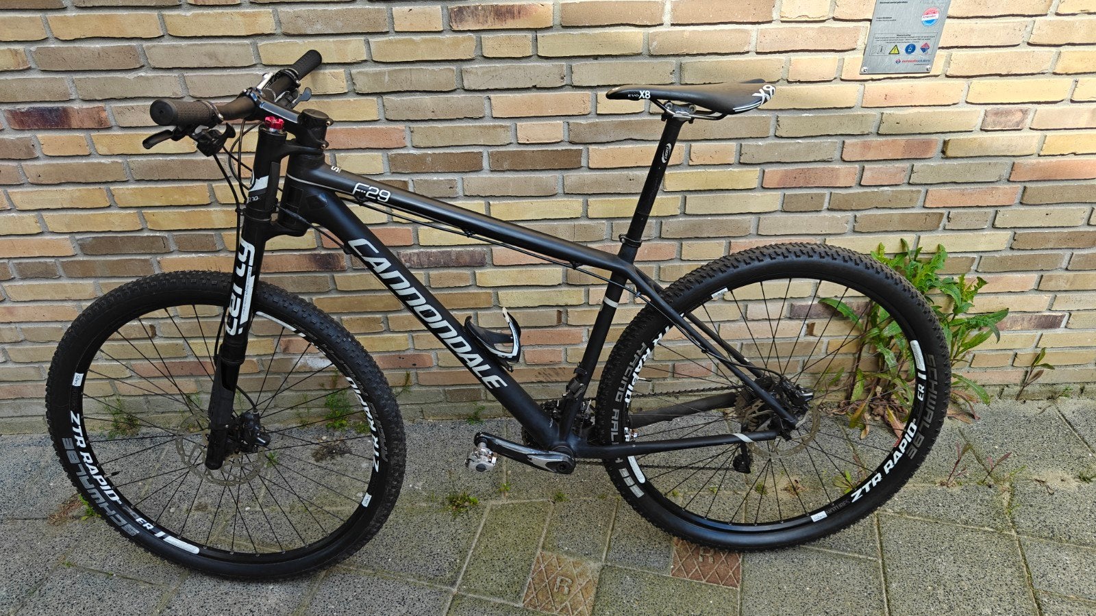 Cannondale F29 Full Carbon (Maat L), Gebruikt, Hardtail, Heren, 49 tot 53 cm
