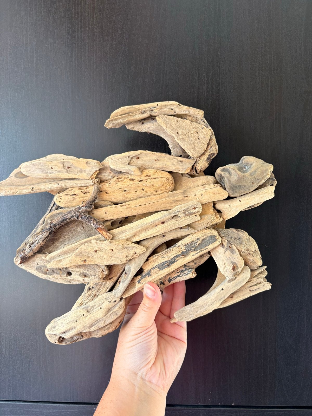 Wanddecoratie schildpad van drijfhout, Ophalen, Gebruikt, Hout, Decoratieobject