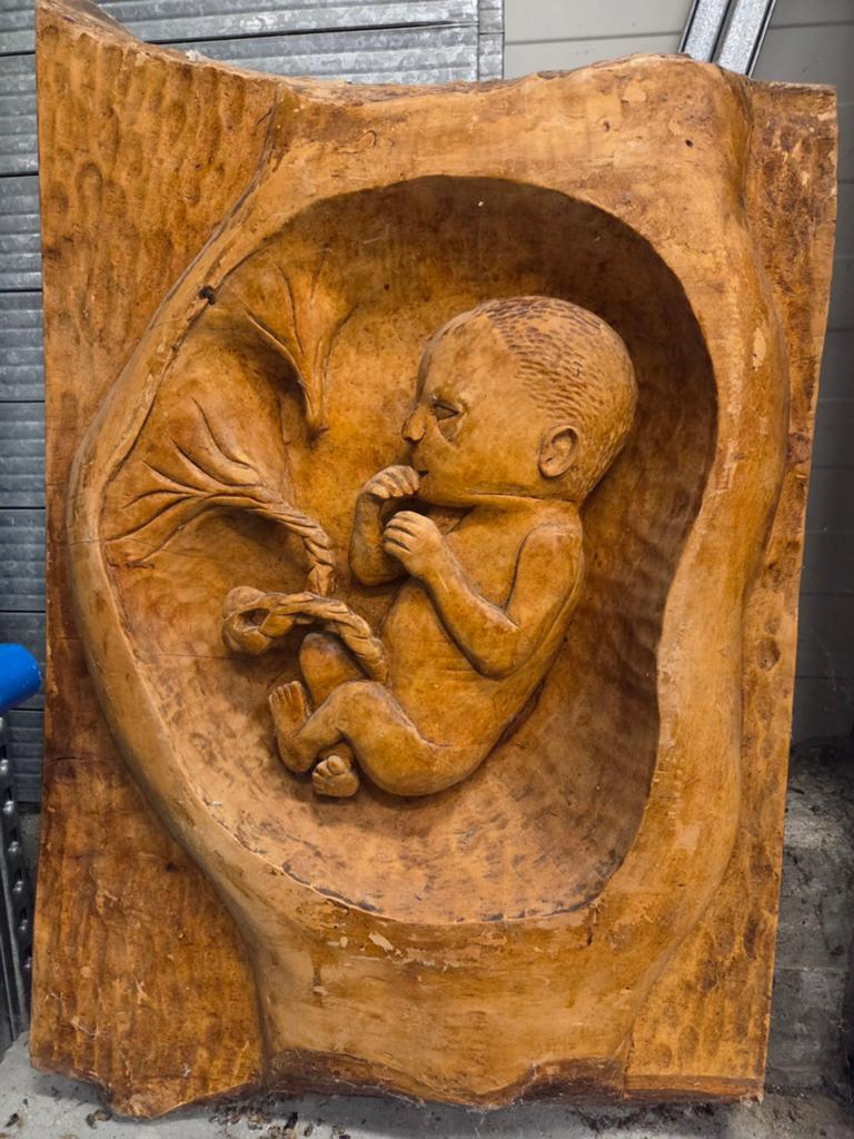 Uniek Houten Beeld: Foetus in Baarmoeder - Handgesneden, Ophalen, Overige onderwerpen, 50 - 100 cm, Handgemaakt