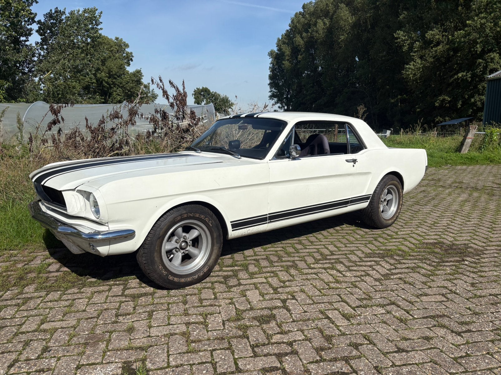 Ford mustang 1965 v8 snelle 302 / aut . NL kenteken, 1263 kg, 4 stoelen, Wit, Bedrijf