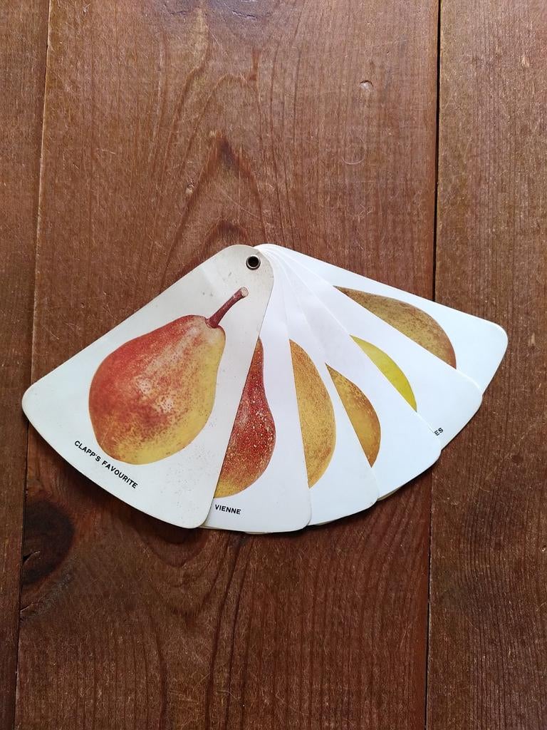 Peren promotiewaaier, Ophalen of Verzenden