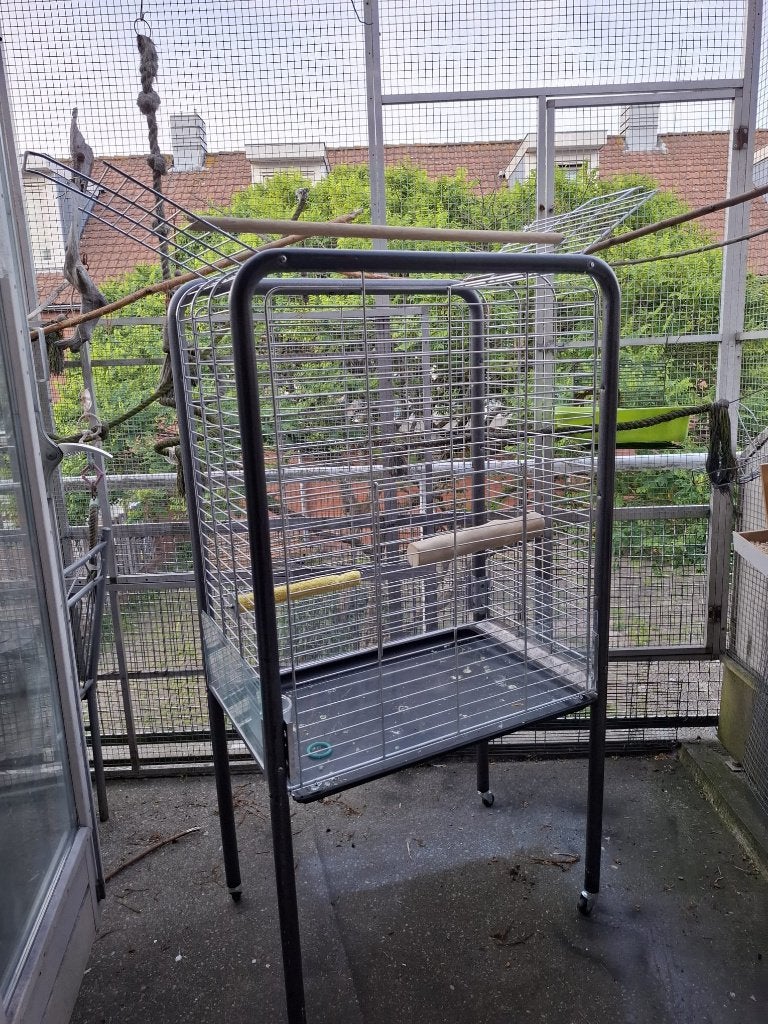 Valkparkieten vogels kooi, Dieren en Toebehoren, Vogels | Hokken en Kooien, Ophalen, Zo goed als nieuw, Metaal, Vogelkooi