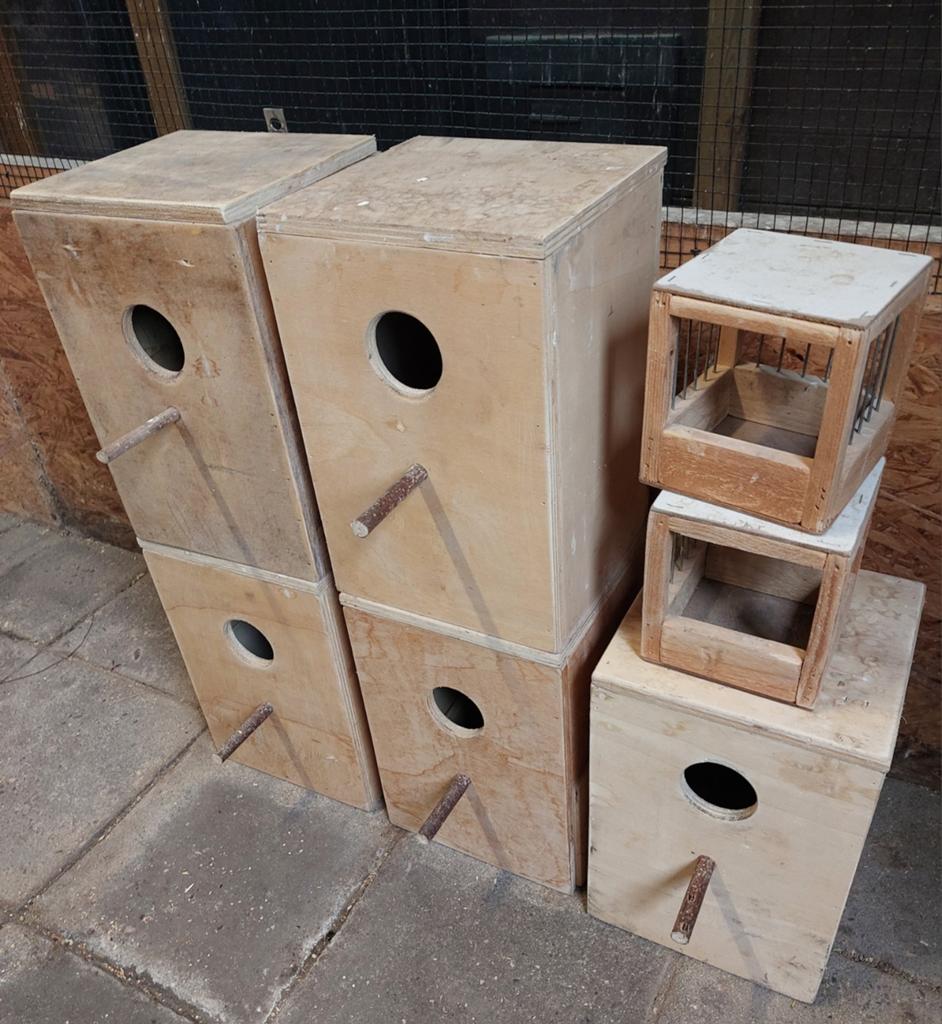 Te koop broedblokken alles in een koop., Ophalen of Verzenden, Hout, Broedkooi of Kweekkooi