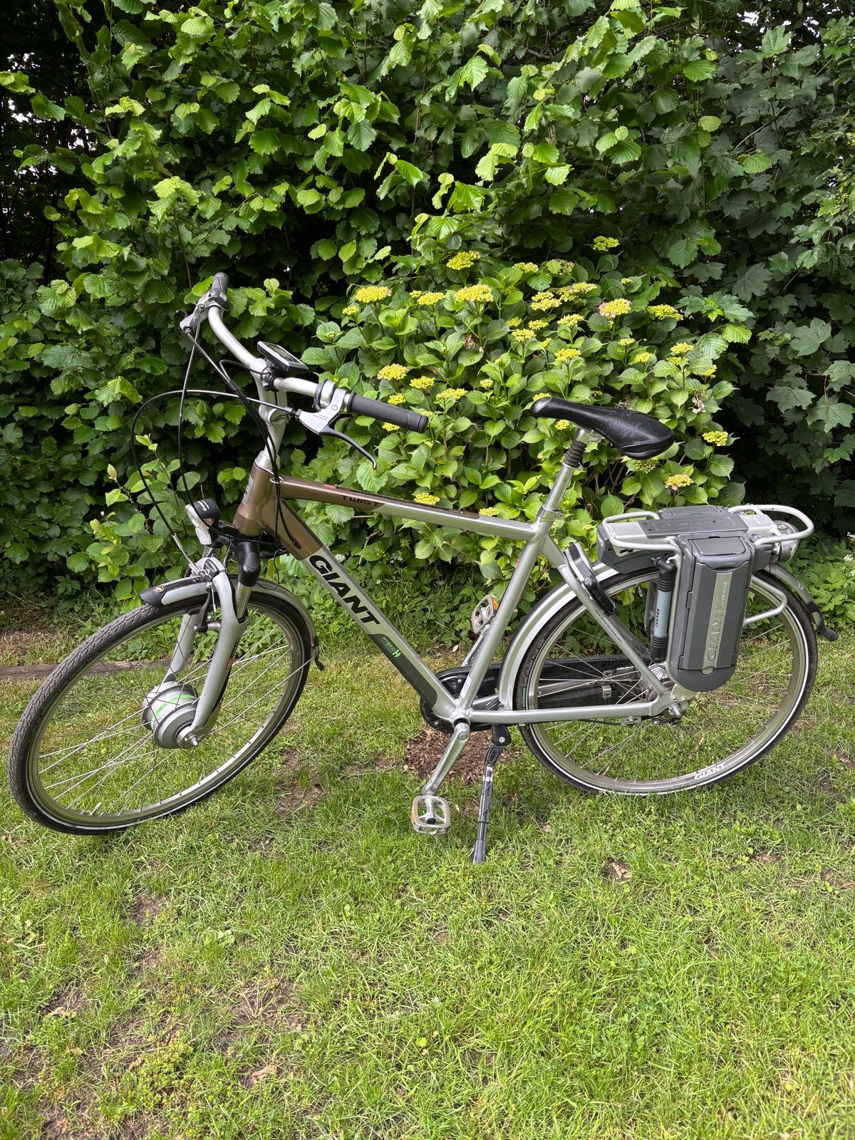 Giant Twist Go electrische herenfiets, Ophalen, Gebruikt, Giant, 55 tot 59 cm