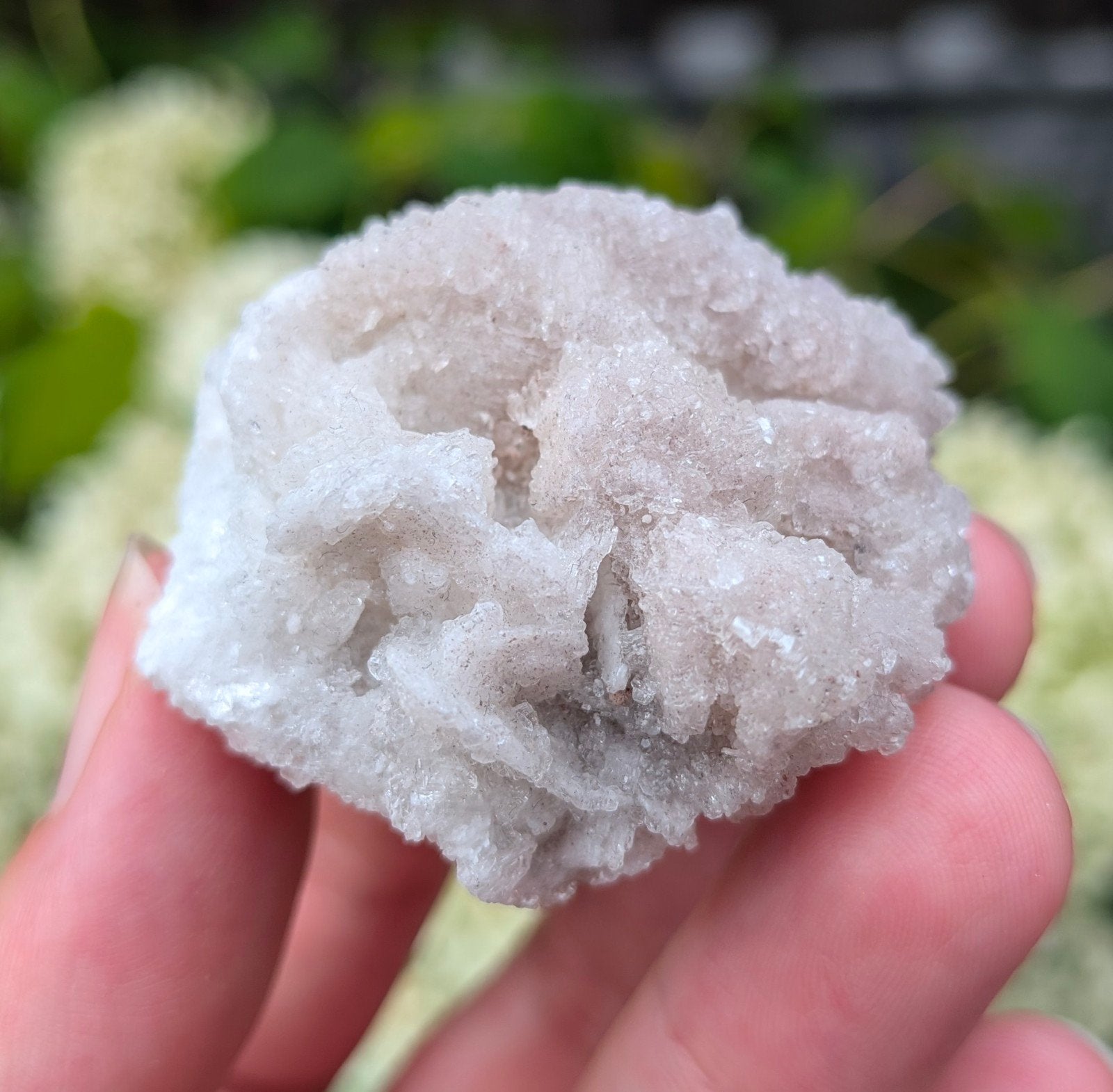 Seleniet x fluoriet cluster, Ophalen of Verzenden