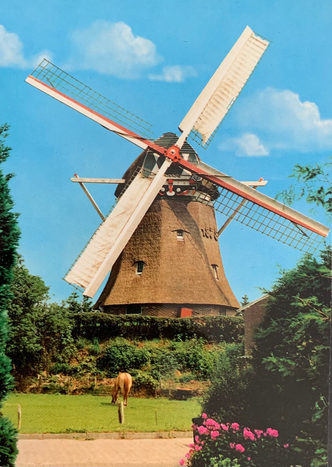 Zuidwolde, Drenthe, molen De Vlijt., Ophalen of Verzenden, Ongelopen, Drenthe
