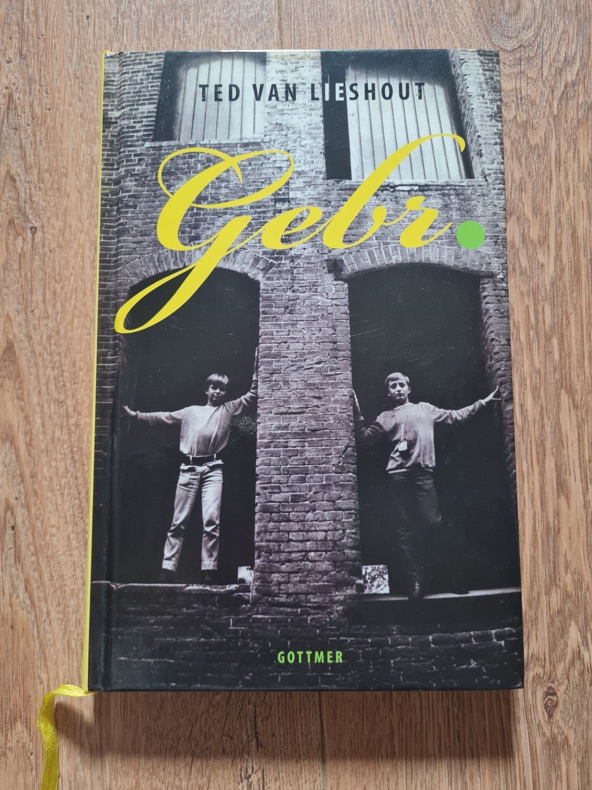 Ted van Lieshout - Gebr., Ophalen of Verzenden, Zo goed als nieuw, Ted van Lieshout