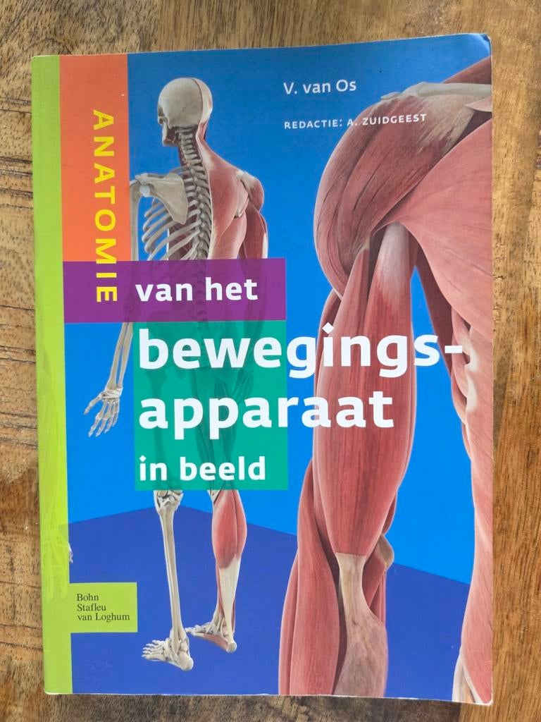 Anatomie van het bewegingsapparaat in beeld - V. van Os, Gelezen, V. van Os, Beta, HBO