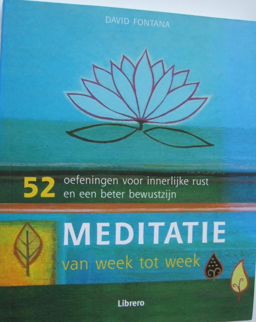 Meditatie van week tot week - 52 oefeningen, Meditatie of Yoga, David Fontana, Ophalen of Verzenden, Zo goed als nieuw