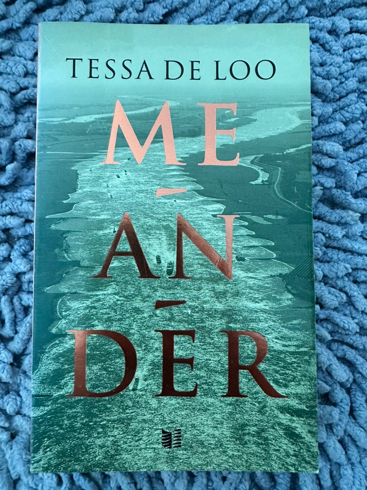 T. de Loo - Meander, Ophalen of Verzenden, Zo goed als nieuw, T. de Loo
