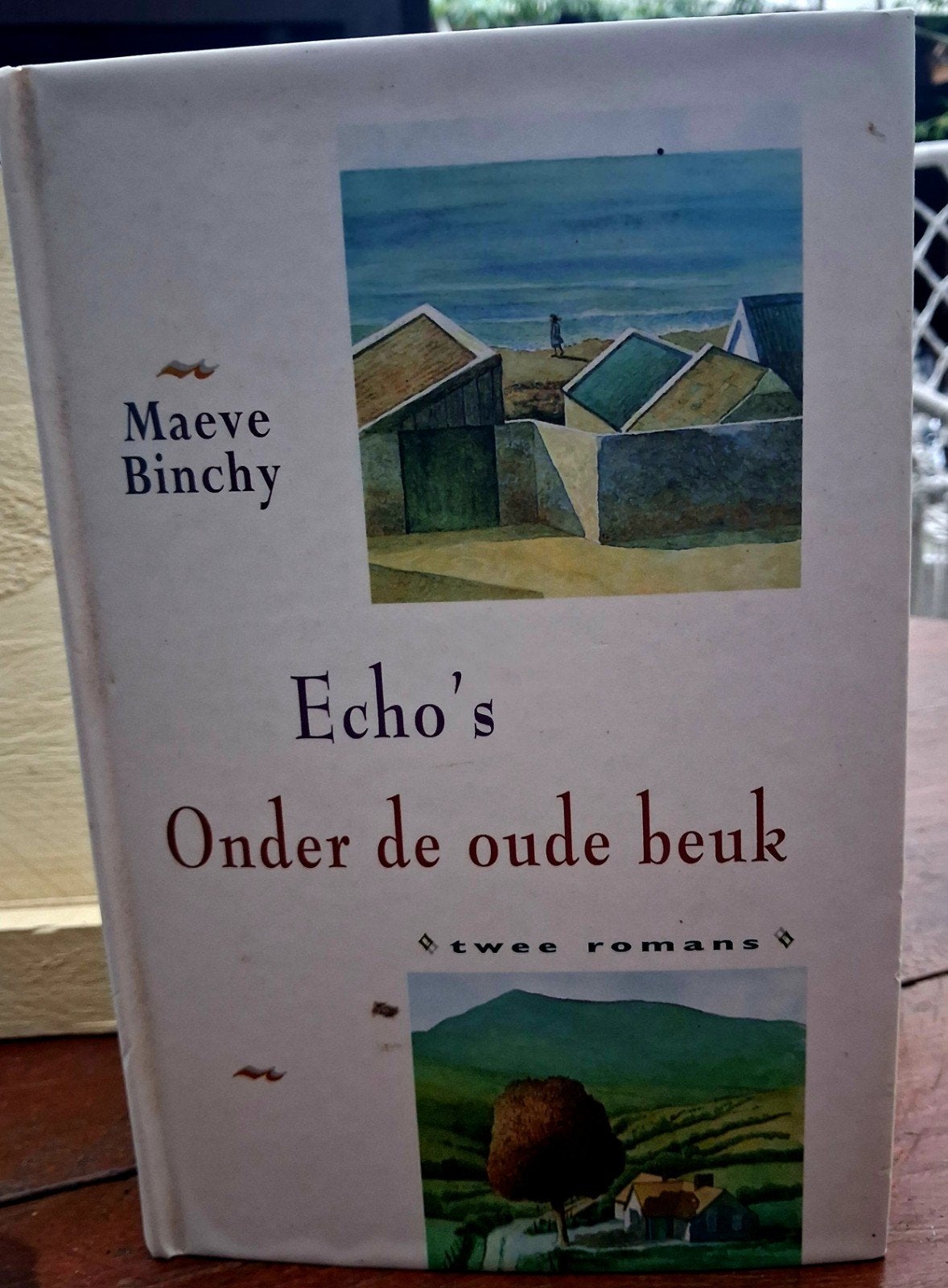 Maeve Binchy - Echo's / Onder de oude beuk (Dubbelroman), Ophalen of Verzenden, Gelezen