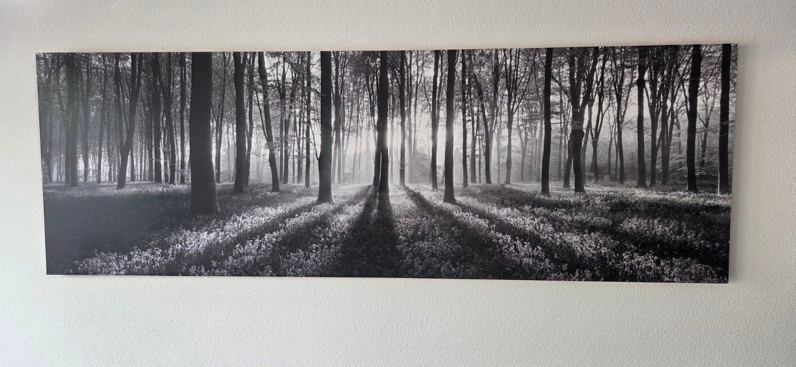 zwart wit natuur schilderij, Ophalen, Kunststof, Landschap