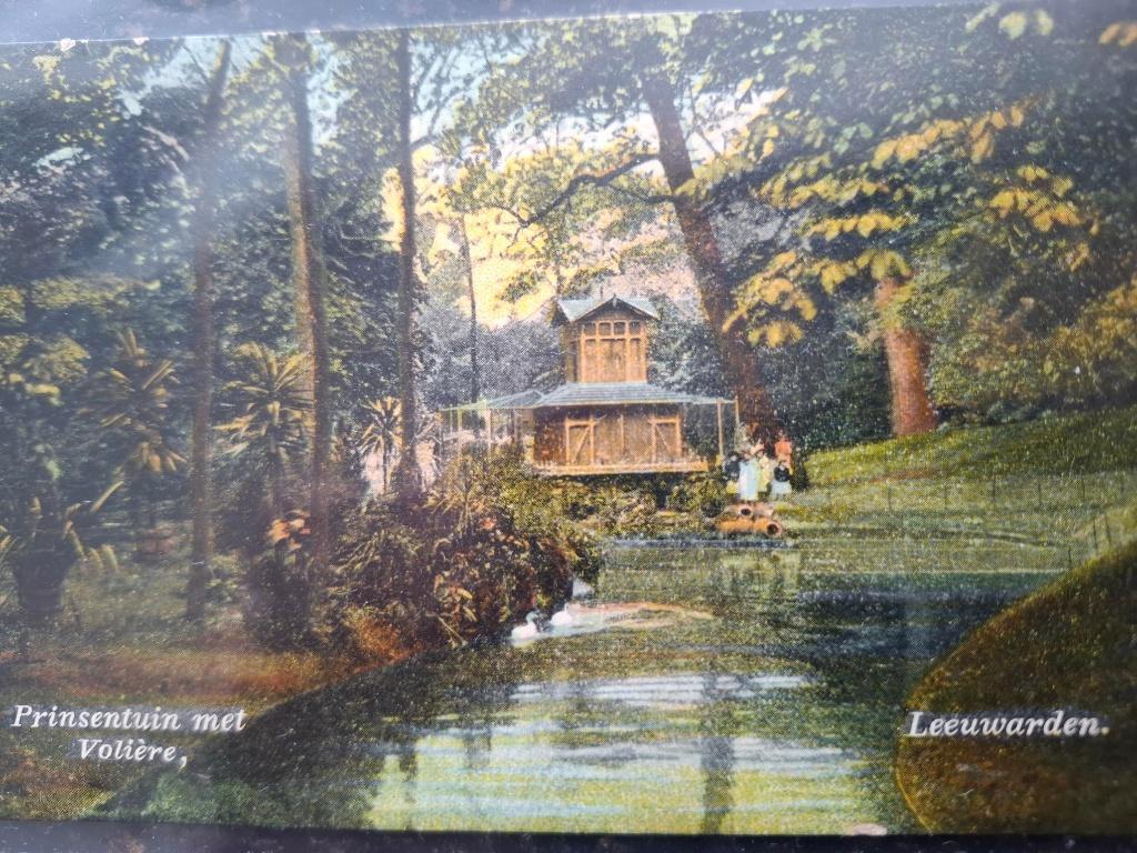 zoo, Ophalen of Verzenden, Voor 1920, Gelopen, Vogel