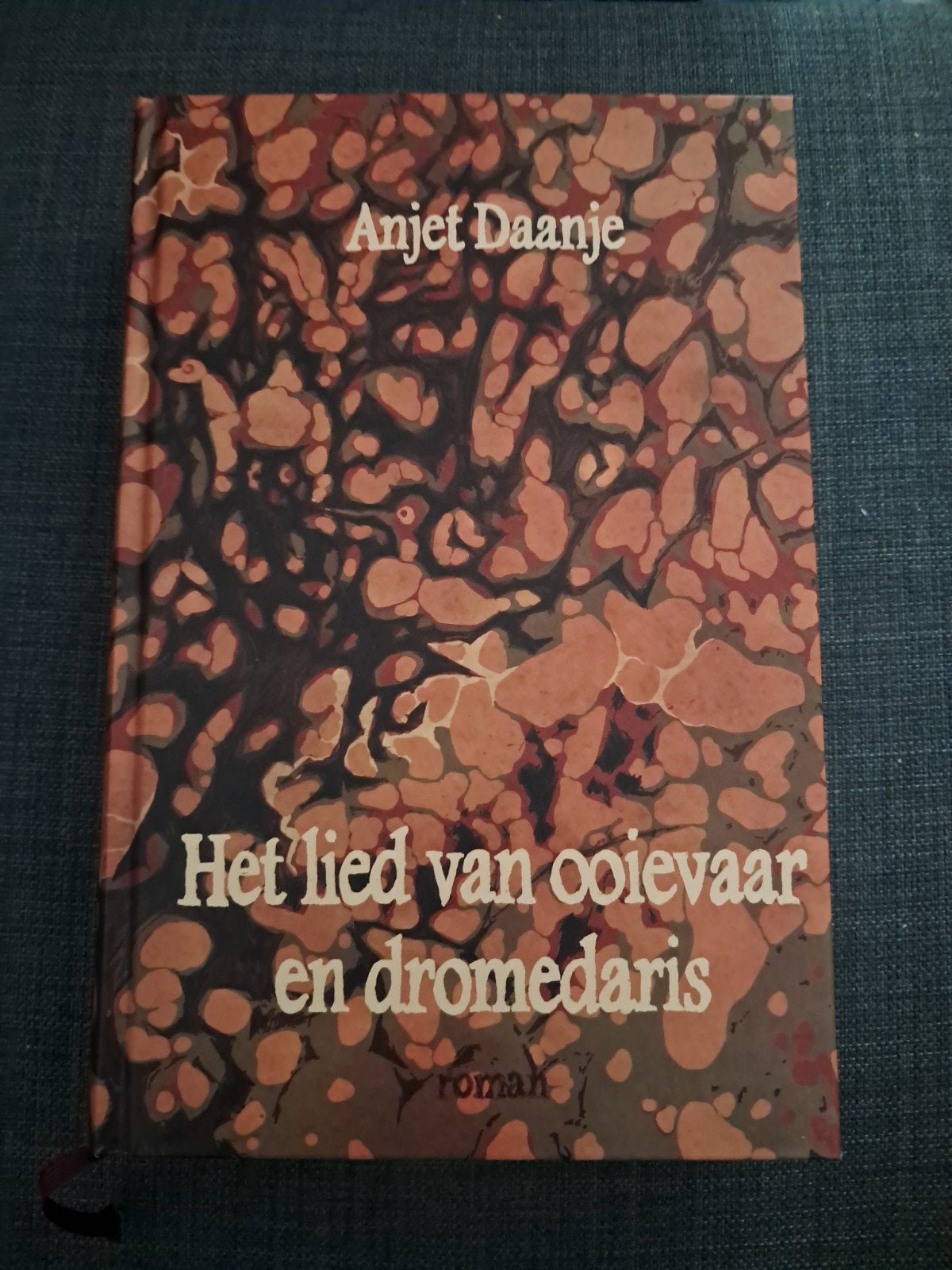 Het lied van ooievaar en dromedaris - Anjet Daanje, Ophalen of Verzenden, Zo goed als nieuw, Anjet Daanje, Nederland