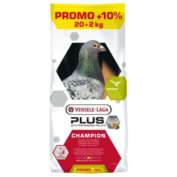 Duivenvoer champion plus te koop, Dieren en Toebehoren, Ophalen, Hond